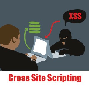 Identify Cross Site Scripting (XSS) Vulnerabilities Threat